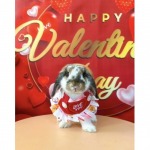 Pet Relax Co., Ltd.