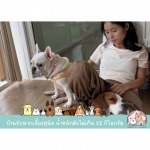 รับฝากเลี้ยงสุนัข สมุทรปราการ - Tim&Yim Family