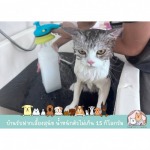 รับฝากเลี้ยงสุนัข สมุทรปราการ - Tim&Yim Family