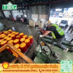 จำหน่ายน้ำมันหล่อลื่นอุตสาหกรรม SHELL - ตัวแทนจำหน่ายน้ำมันหล่อลื่นอุตสาหกรรม SHELL - ที พี จี ลูบริแคนท์ส