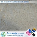 Plastic pellet manufacturing and distribution factory - Global PCR & PIR Plastic 168