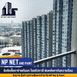 DD Construction & Paint Company Limited