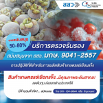 รับตรวจรับรองระบบมาตรฐาน และออกใบรับรอง Certification