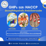 รับตรวจรับรองระบบมาตรฐาน และออกใบรับรอง Certification