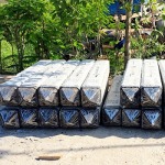 JL Pile Company Limited