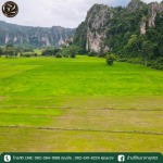 ขายที่ดินในจังหวัดสุโขทัย ราคาถูก - ขายบ้านที่ดินราคาถูก - บริหารหนี้ จี2 พิษณุโลก
