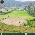 ขายที่ดินในจังหวัดอุตรดิตถ์ ราคาถูก - ขายบ้านที่ดินราคาถูก - บริหารหนี้ จี2 พิษณุโลก