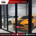 AP Motorsport Limited Partnership