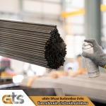 GTS INDUSTRIAL COMPANY LIMITED