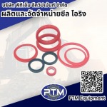 สั่งทำซีลไฮดรอลิค ปทุมธานี - ผลิตและจัดจำหน่าย ซีล โอริง - พีทีเอ็ม อีควิปเม้นท์