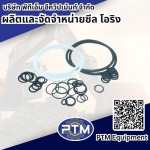 ผลิตและจัดจำหน่าย ซีล โอริง - พีทีเอ็ม อีควิปเม้นท์