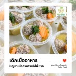 เด็กเบื่ออาหาร - อาหารเด็ก Mom Mom Organic Baby Food