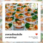 อาหารเด็กแช่แข็ง - อาหารเด็ก Mom Mom Organic Baby Food