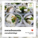อาหารเด็กออแกนิค - อาหารเด็ก Mom Mom Organic Baby Food
