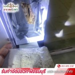 THAMMABUACHA CO., LTD.