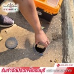 กำจัดปลวกราคาถูก ใกล้ฉัน - บริษัทกำจัดปลวก ฝั่งธนบุรี - ธรรมบัวชา