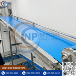 NP Special Company Limited