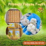 ขายส่งผลไม้แช่แข็ง - โรงงานผลิตผลไม้แช่แข็ง - พิศมัย ผลไม้แช่แข็ง