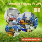 PITSAMAI FROZEN FRUITS COMPANY LIMITED