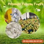 โรงงานผลิตเนื้อมะพร้าวแช่แข็ง - โรงงานผลิตผลไม้แช่แข็ง - พิศมัย ผลไม้แช่แข็ง