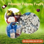PITSAMAI FROZEN FRUITS COMPANY LIMITED