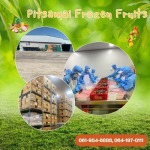 PITSAMAI FROZEN FRUITS COMPANY LIMITED