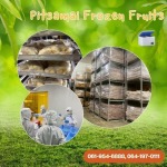 โรงงานรับฝากแช่ผลไม้ - โรงงานผลิตผลไม้แช่แข็ง - พิศมัย ผลไม้แช่แข็ง