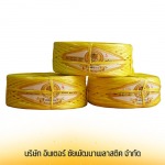 Inter Chaipattana Plastic Company Limited