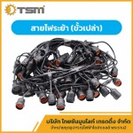 THAI SUN MOON LIGHT TRADING COMPANY LIMITED
