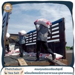 ขายส่งเกลือทะเลยกกระสอบ ราคาถูก - เกลือทะเลเพชรบุรี