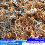 รับซื้อเศษเหล็ก ประมูลเครื่องจักรโรงงาน - ปทุมธานี