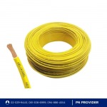 PN PROVIDER COMPANY LIMITED