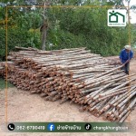 CHANGKHANGBAAN CO., LTD.