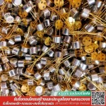 Suwan Rungrueang Recycle