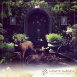 รับออกแบบจัดสวน - infinitegarden