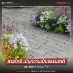 ไอเดียจัดสวนเรียกทรัพย์เสริมโชคลาภ - โรงงานผลิตภัณฑ์คอนกรีต ส.อรุณ คอนกรีต ปทุมธานี