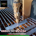 SN. Asia Company limited