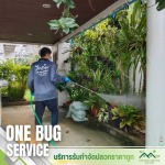 วางท่อปลวก นนทบุรี - บริการรับกำจัดปลวกราคาถูก นนทบุรี