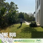 กำจัดปลวกตายยกรัง นนทบุรี - บริการรับกำจัดปลวกราคาถูก นนทบุรี