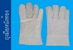 ถุงมือหนังท้อง - Rajah Glove Co., Ltd. - Industrial Glove manufacturer