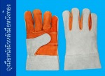 ถุงมือหนังผิวหลังมือหนังท้อง - Rajah Glove Co., Ltd. - Industrial Glove manufacturer