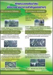 ปาล์มขาดธาตุอาหาร - J J Southern Co.,Ltd.