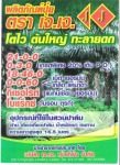 ผลิตภัณฑ์ ตรา เจเจ - J J Southern Co.,Ltd.