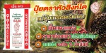 ปุ๋ยเกรดพรีเมี่ยม - J J Southern Co.,Ltd.