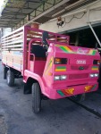 รถบรรทุกน้ำอีแต๋น - Phitsanulok Dansawang Karnkaset Part., Ltd.