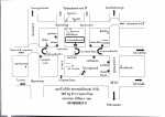 แผนที่  - รับจ้างขนส่งสินค้า ภาคเหนือ สหะหล่มสักขนส่ง