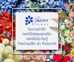 Sister Flower แหล่งขายปลีก - ส่งดอกไม้ปลอม ดอกไม้ประดิษฐ์ - รับทำเว็บไซต์ SEO/SXO และบริการดิจิทัล by YellowPages
