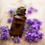หัวน้ำหอมกลิ่นลาเวนเดอร์ - Aromaprof Co., Ltd.