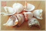 รังนกแห้ง ชุมพร - Chumphon Birdnest