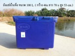 ถังน้ำแข็ง ถังแช่น้ำแข็ง ขนาด 100 ลิตร - Safe Icebucket Jitfiberglass